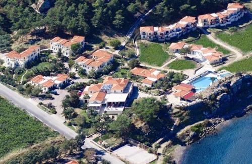 Imagen general del Hotel Alma, PETRA. Foto 7