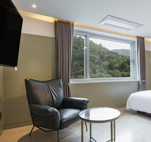 Imagen general del Hotel Alma, Pocheon. Foto 9