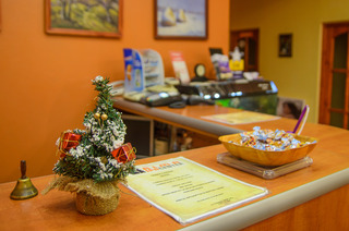 Imagen de los interiores del Hotel Alma Spa. Foto 8