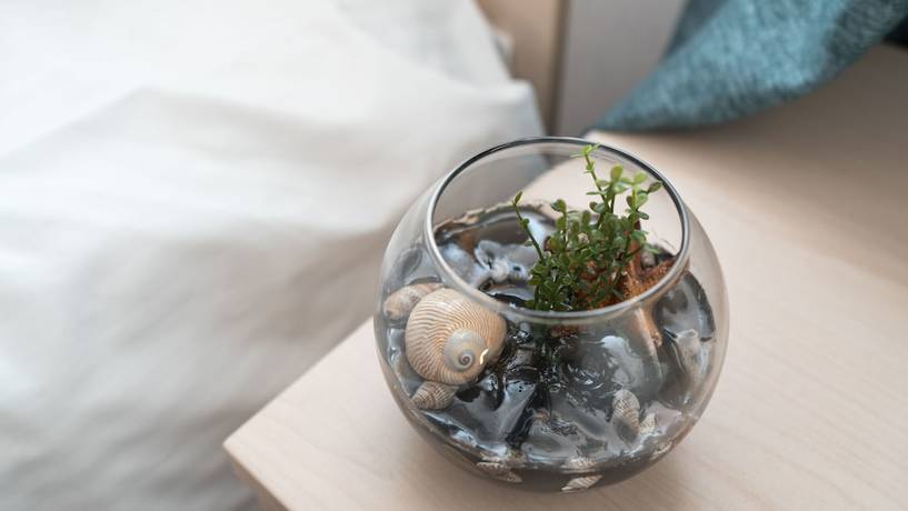 Imagen de la habitación del Hotel AlmaHotel. Foto 13