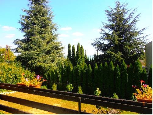 Imagen general del Hotel Almádi Apartments. Foto 14