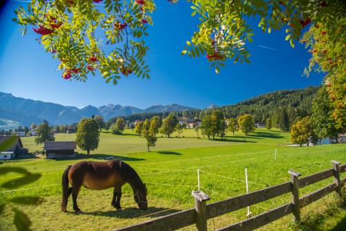 Imagen de la habitación del Hotel Almfrieden & Romantikchalet. Foto 8