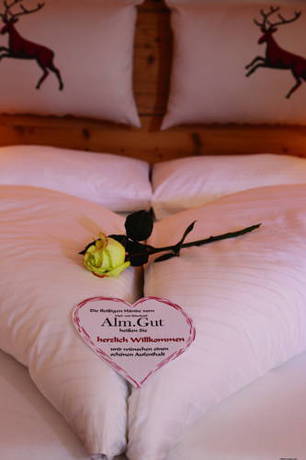 Imagen de la habitación del Hotel Alm.gut - Das Vital Und Relaxhotel. Foto 3