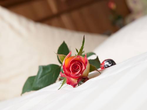 Imagen de la habitación del Hotel Almhof Lackner. Foto 3