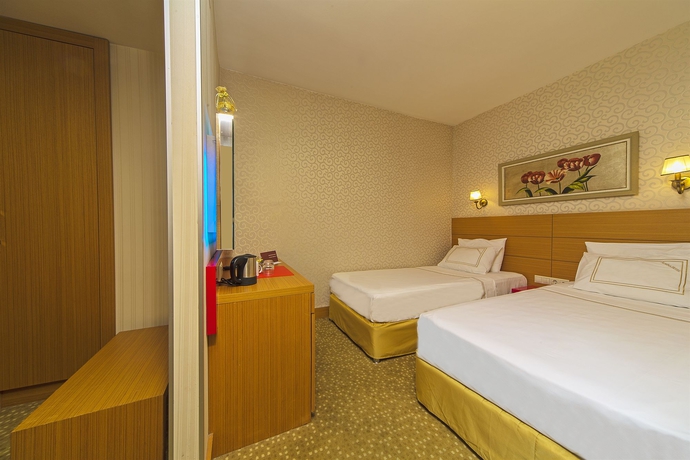 Imagen de la habitación del Hotel Almina - Special Class. Foto 14