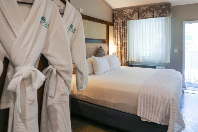 Imagen de la habitación del Hotel Almond Tree Inn - Adults Only. Foto 10