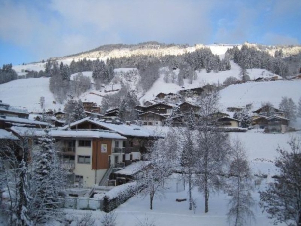 Imagen general del Hotel Almrausch, Saalbach-Hinterglemm . Foto 5