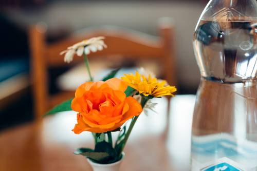 Imagen de la habitación del Hotel Almresort Gerlitzen Kanzelhöhe. Foto 7