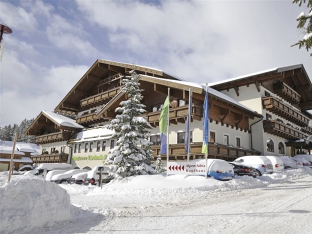 Imagen general del Hotel Almresort Katschberg. Foto 3