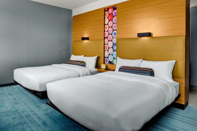 Imagen de la habitación del Hotel Aloft Chapel Hill. Foto 3