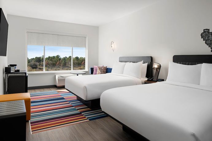 Imagen de la habitación del Hotel Aloft Katy Mills. Foto 9
