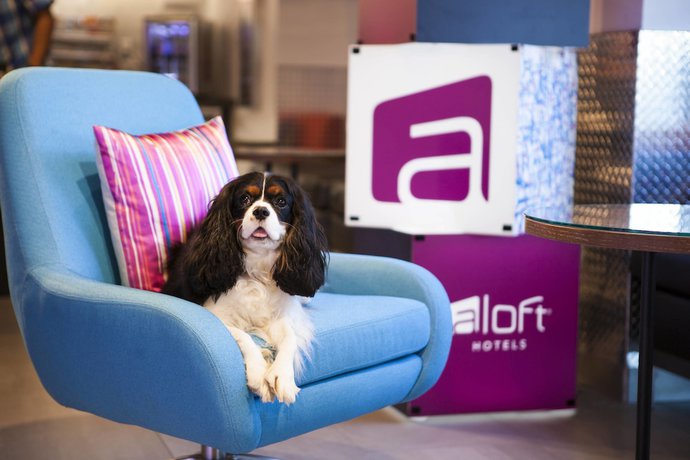 Imagen general del Hotel Aloft Miami Dadeland. Foto 3