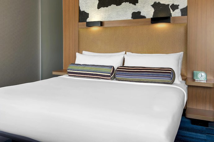 Imagen de la habitación del Hotel Aloft Nashville Franklin. Foto 4