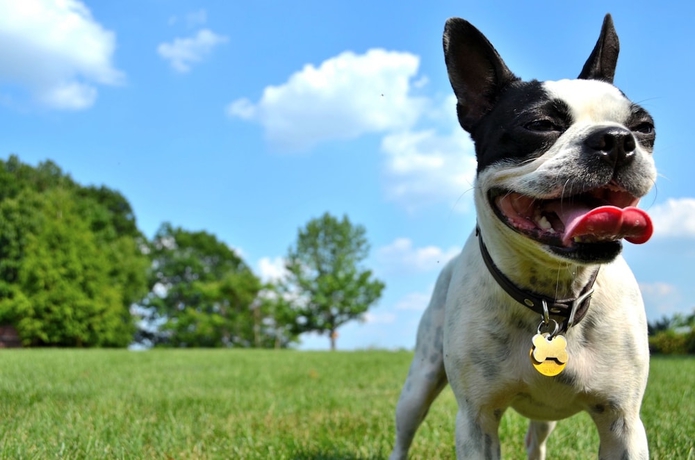 Imagen general del Hotel Aloft Philadelphia Airport. Foto 3