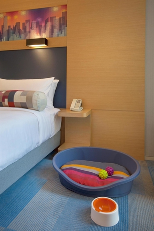 Imagen de la habitación del Hotel Aloft Seoul Gangnam. Foto 11