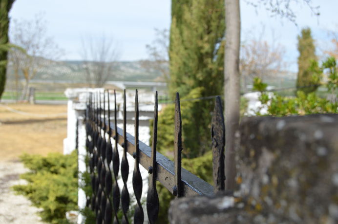 Imagen de la habitación del Hotel Alojamiento Rural El Cortijuelo. Foto 3