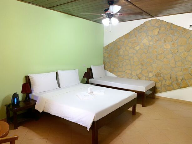 Imagen general del Hotel Alona Swiss Resort. Foto 9