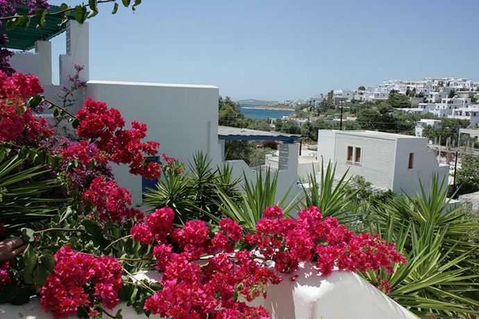 Imagen de los exteriores del Hotel Aloni. Foto 5