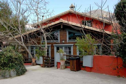 Imagen de la piscina del Hotel Aloruga. Foto 16