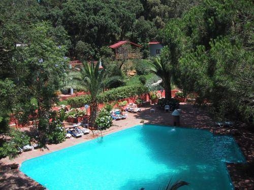 Imagen de la piscina del Hotel Aloruga. Foto 17