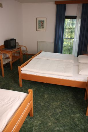 Imagen de la habitación del Hotel Alp. Foto 14