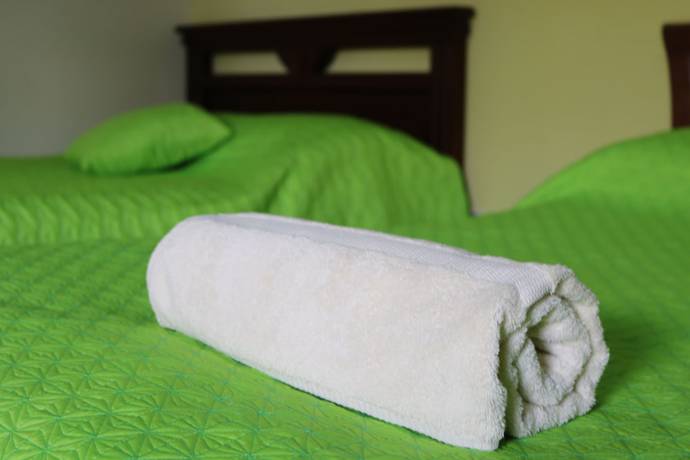 Imagen de la habitación del Hotel Alpachaca. Foto 7