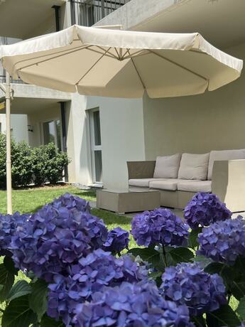 Imagen general del Hotel Alparthotel. Foto 8