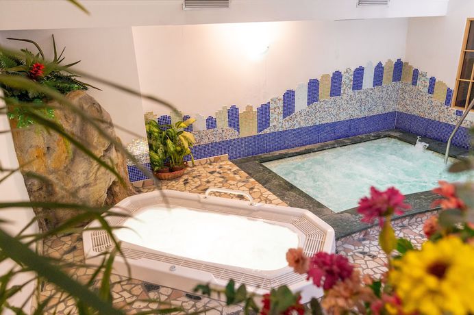 Imagen de la piscina del Hotel Alpe, Alba - D&egrave;lba. Foto 17