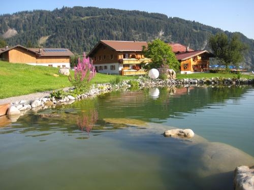 Imagen general del Hotel Alpe Dornach. Foto 4