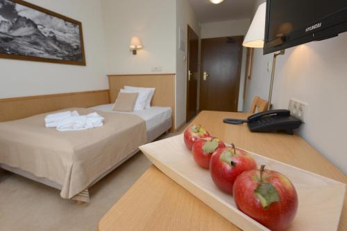 Imagen general del Hotel Alpejski, Polanica-Zdroj. Foto 3