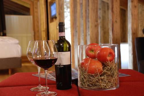 Imagen de la habitación del Hotel Alpen Chalet. Foto 7