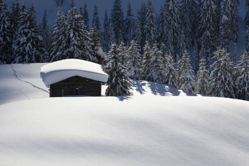 Imagen general del Hotel Alpen Sport Resort Rote Wand. Foto 5