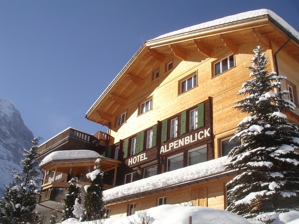 Imagen general del Hotel Alpenblick, Grindelwald. Foto 1