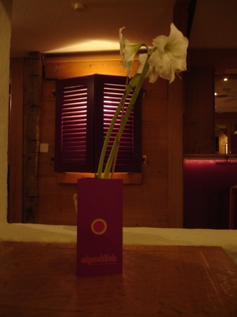 Imagen de los interiores del Hotel Alpenblick, Grindelwald. Foto 19