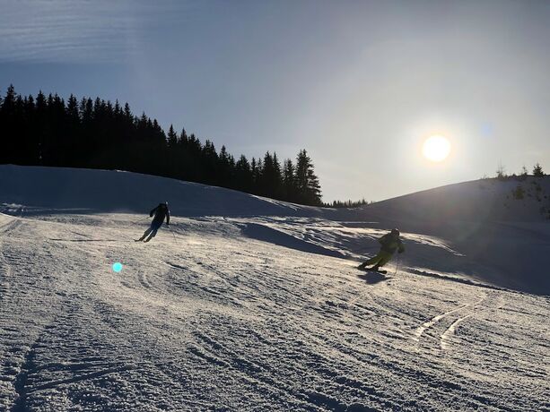 Imagen general del Hotel Alpengasthof Moser. Foto 16