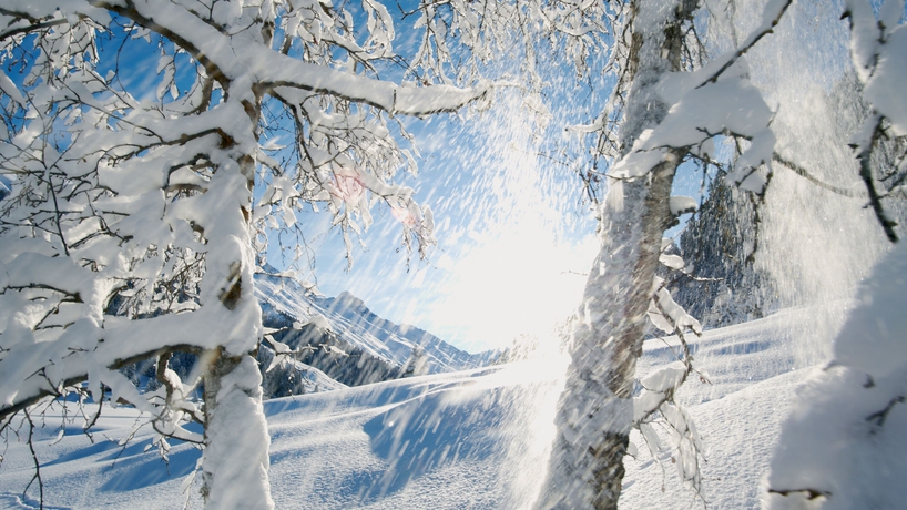 Imagen de los exteriores del Hotel Alpengold Davos. Foto 8