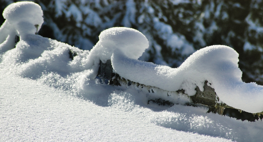 Imagen general del Hotel Alpenherz. Foto 2