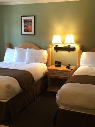 Imagen de la habitación del Hotel Alpenhof Lodge. Foto 7