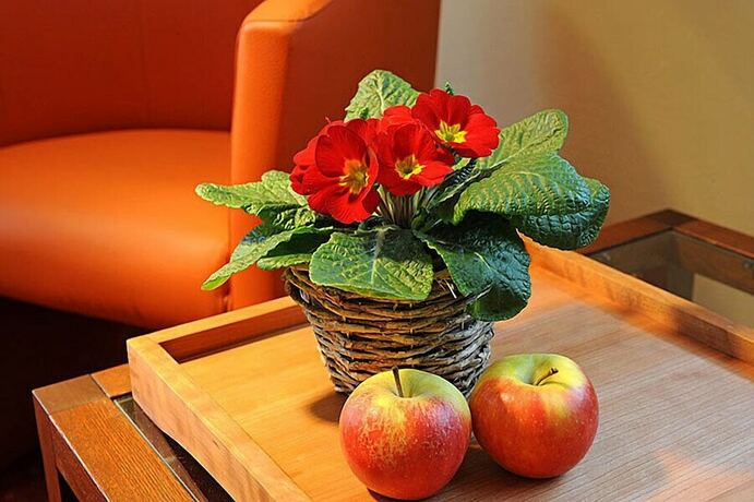 Imagen de la habitación del Hotel Alpenhotel Brunneck. Foto 10