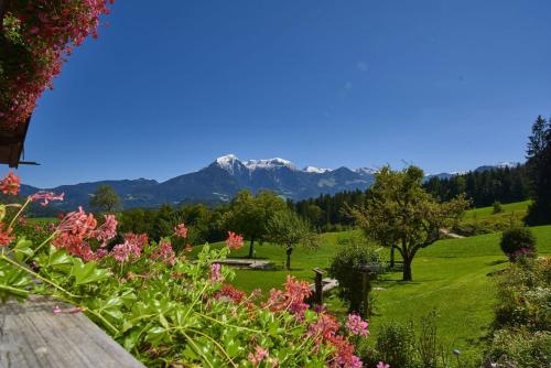 Imagen general del Hotel Alpenhotel Hundsreitlehen. Foto 3