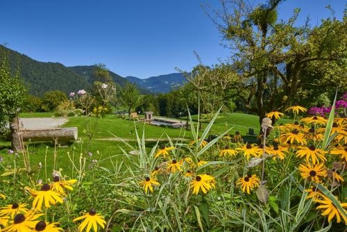 Imagen general del Hotel Alpenhotel Hundsreitlehen. Foto 4