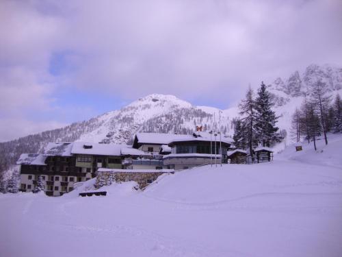 Imagen general del Hotel Alpenhotel Plattner. Foto 1