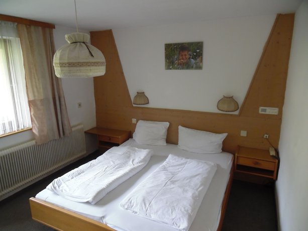 Imagen de la habitación del Hotel Alpenhotel Wildschönau. Foto 10