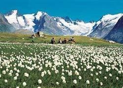 Imagen general del Hotel Alpenland, Obergurgl . Foto 6