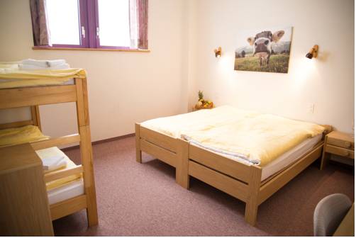 Imagen de la habitación del Hotel Alpenlodge Kühboden. Foto 7