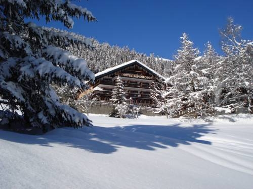 Imagen general del Hotel Alpenrose. Foto 8