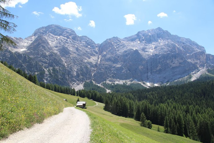 Imagen general del Hotel Alpenrose. Foto 9