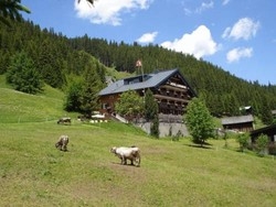 Imagen general del Hotel Alpenrose, Gargellen. Foto 2