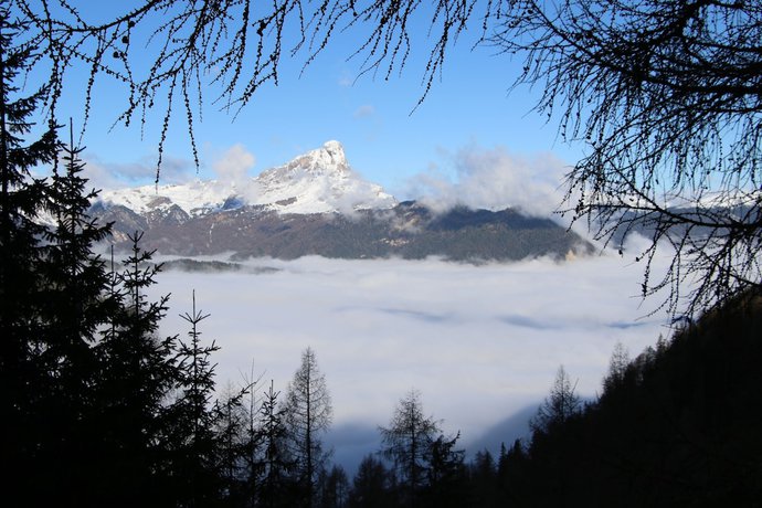 Imagen general del Hotel Alpenrose, Murin. Foto 4