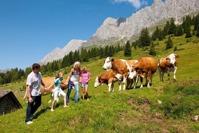 Imagen general del Hotel Alpenrose M&uuml;hlbach am Hochk&ouml;nig. Foto 3